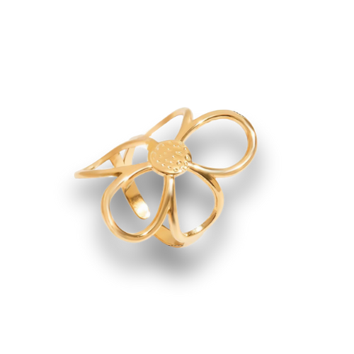 BAGUE VAHINA